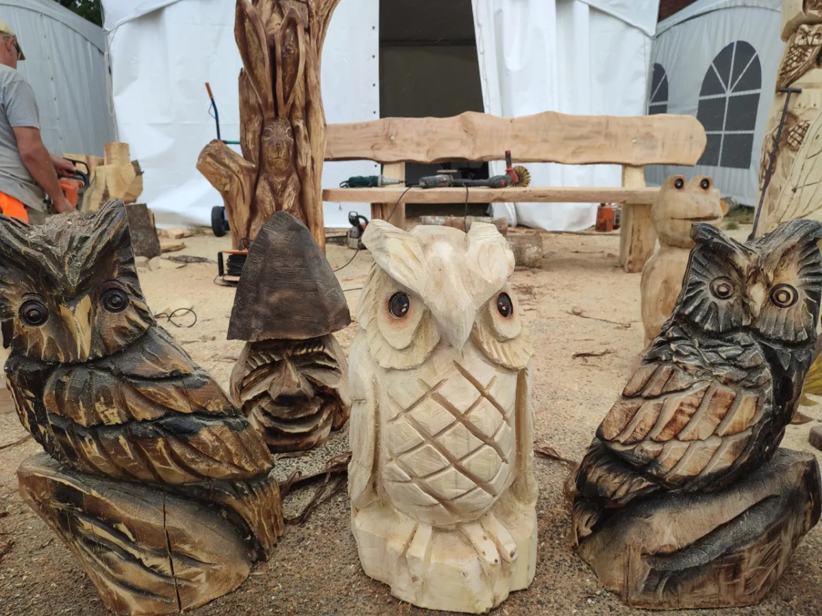 Niesamowite rzeźby z drewna, które odmienią Twój dom i ogród