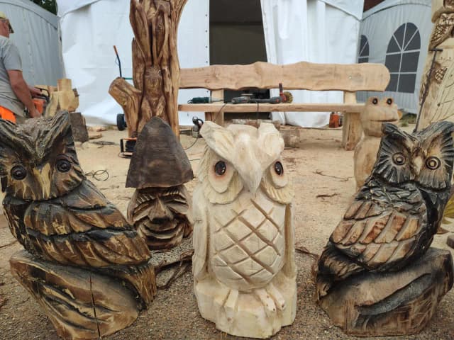 Niesamowite rzeźby z drewna, które odmienią Twój dom i ogród