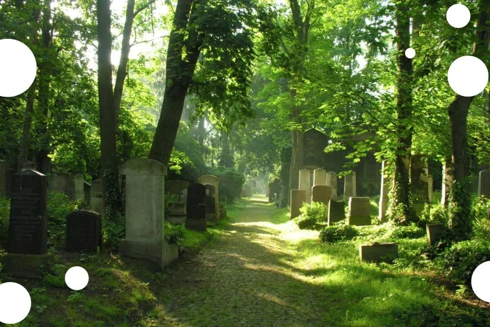 Muzeum Sztuki Cmentarnej Wrocław - Godziny otwarcia i ceny biletów